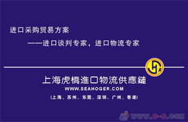 專業護航，高效通關 上海進口報關代理服務全解析